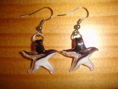 boucles d`oreilles étoile noire et blanche