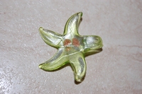 Etoile verte