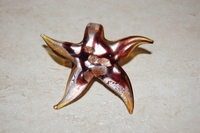 Etoile caramel